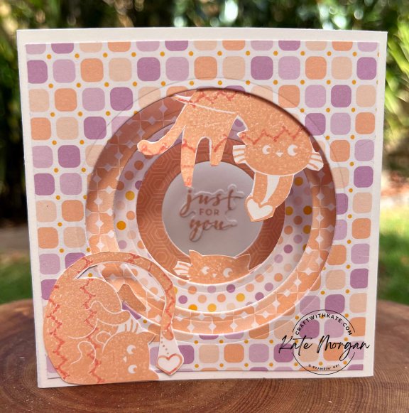 Love Cats Tunnel card by Kate Morgan, Stampin Up Australia, SAB 2023