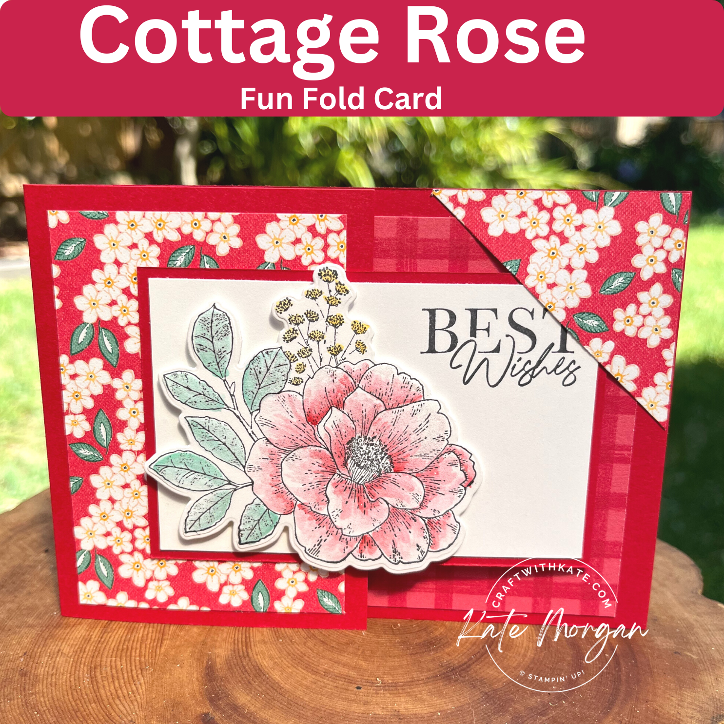 Cottage Rose Feminine fancy fold card by Kate Morgan, Stampin Up Australia 2023