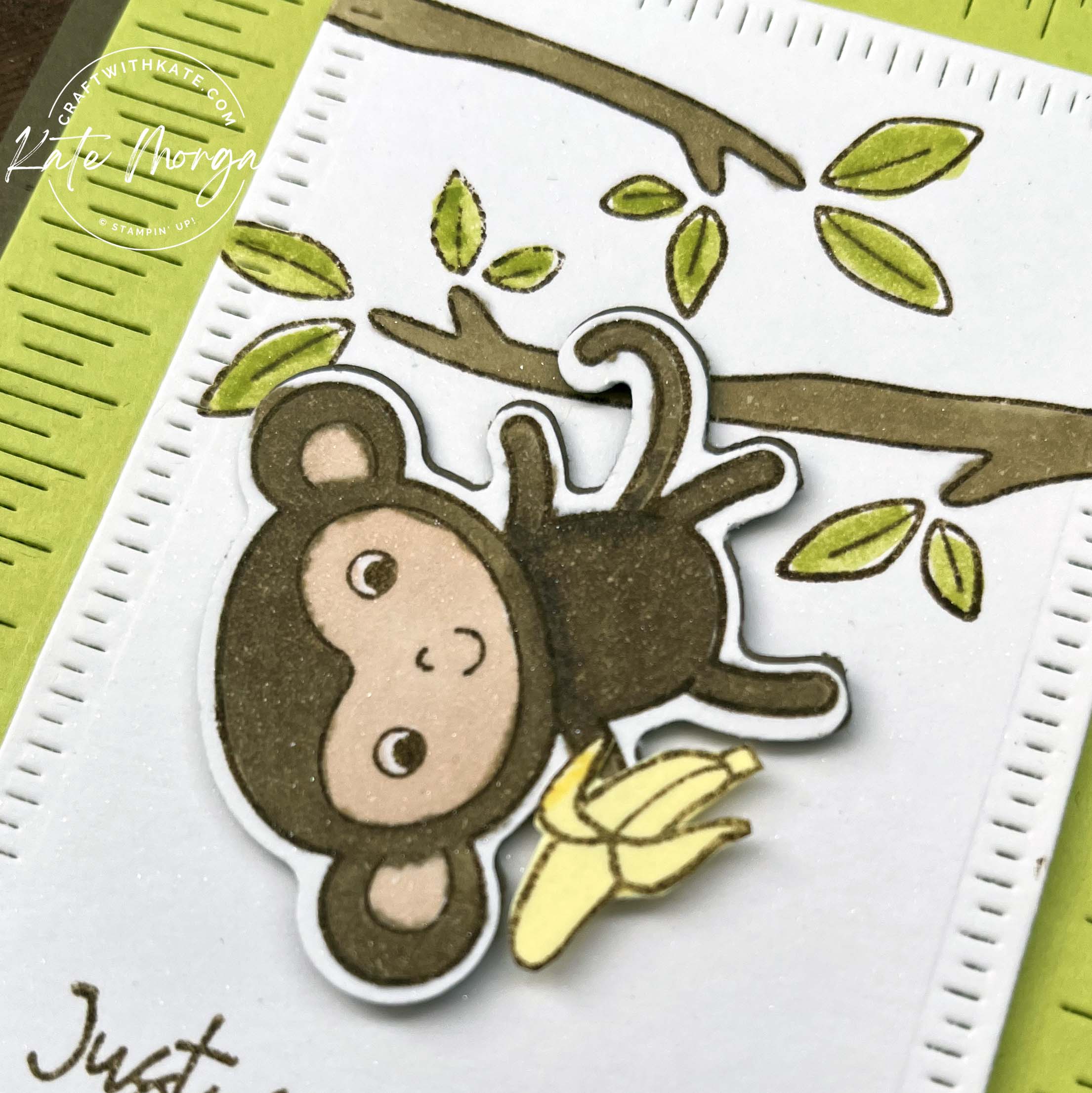 Little Monkey Interactive card by Kate Morgan, Stampin Up Australia 2023 close up