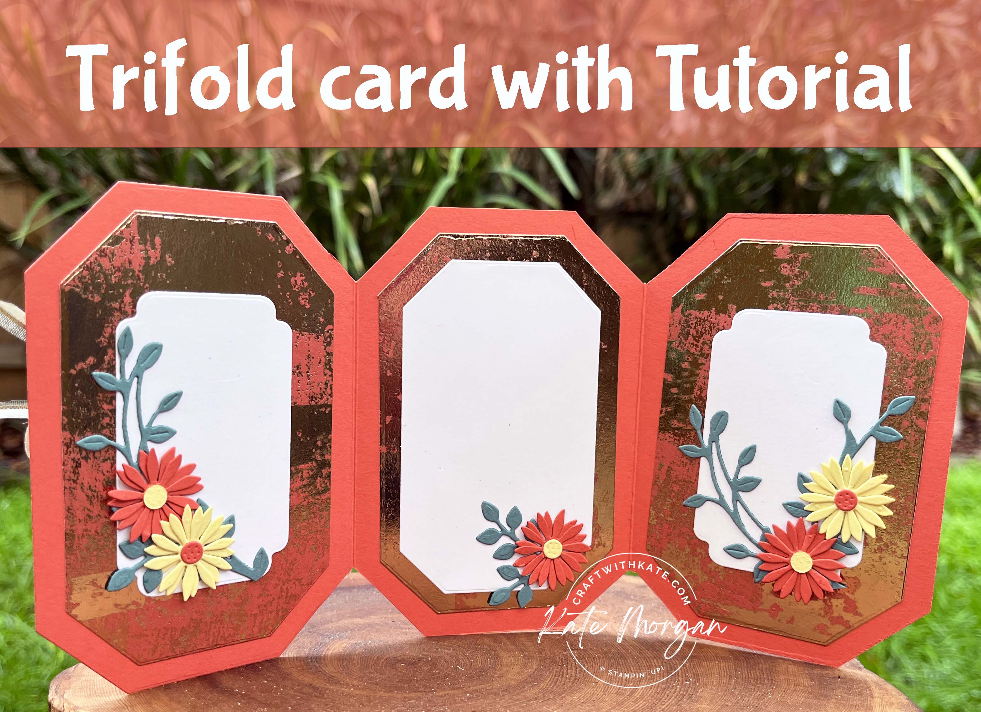 Countryside Corners Trifold card Tutorial using Dainty Delight by Kate Morgan, Stampin Up Australia 2023 open