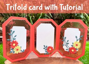Countryside Corners Trifold card Tutorial using Dainty Delight by Kate Morgan, Stampin Up Australia 2023 open
