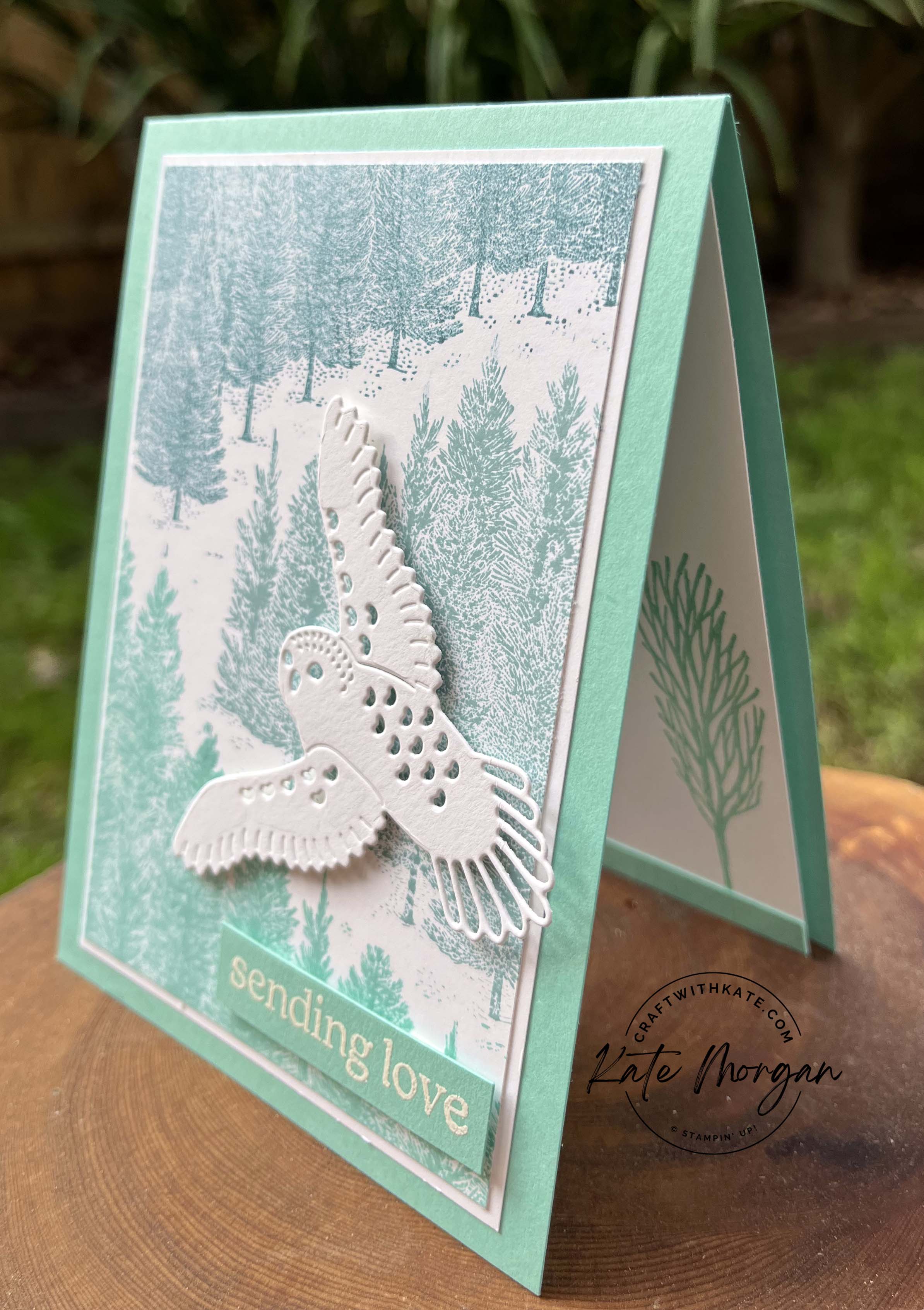 Fragrant Forest &amp; Winter Owls by Kate Morgan, Stampin Up Australia 2023 side Coastal Cabana Colour Creations blog hop