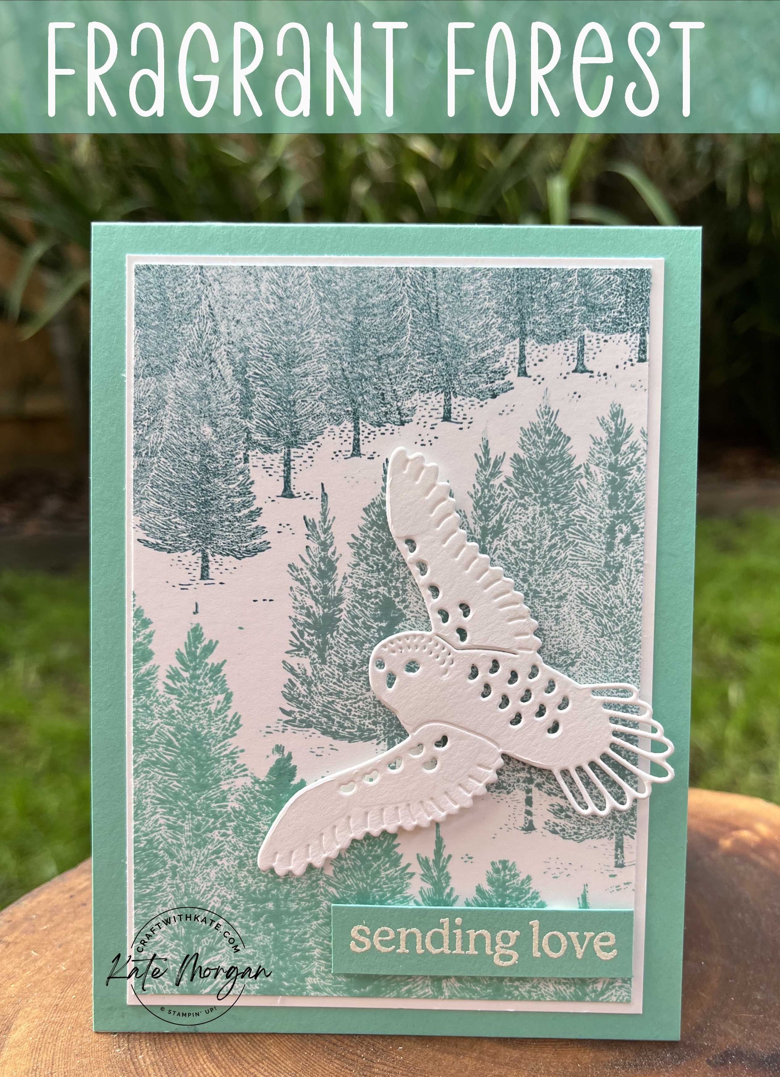 Fragrant Forest &amp; Winter Owls by Kate Morgan, Stampin Up Australia 2023. Coastal Cabana Colour Creations blog hop