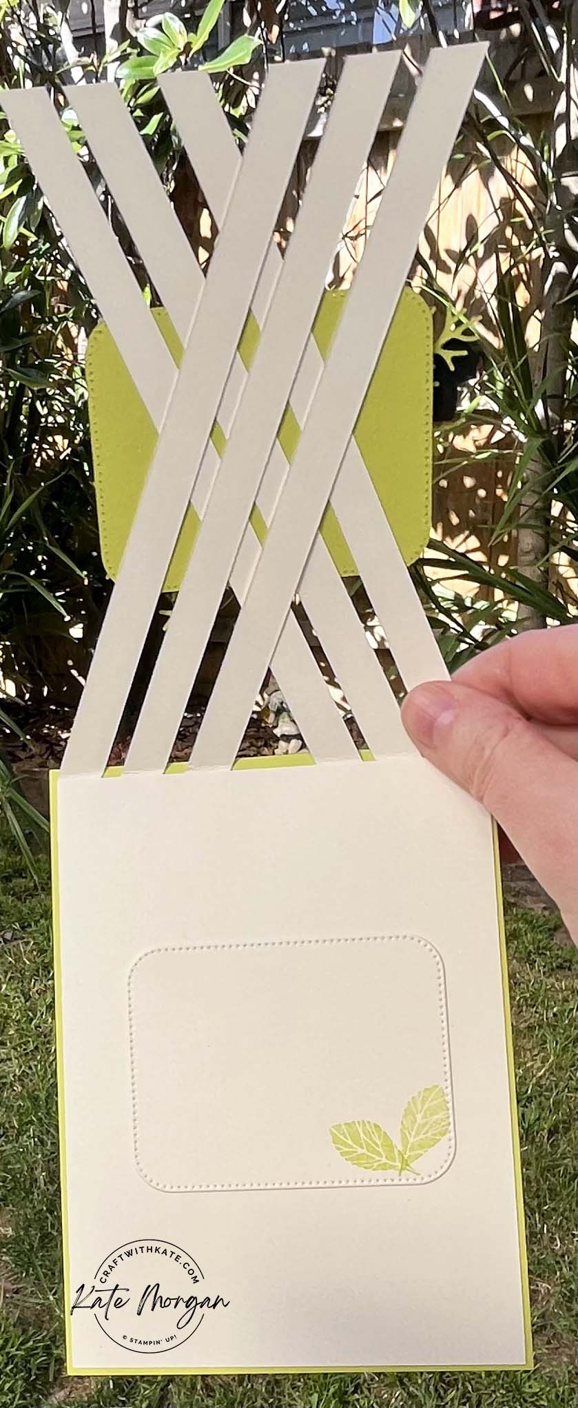 Cheerful Daisies Lattice Criss Cross Card by Kate Morgan, Stampin Up Australia Lemon Lime Twist Colour Creations Blog Hop 2023 inside