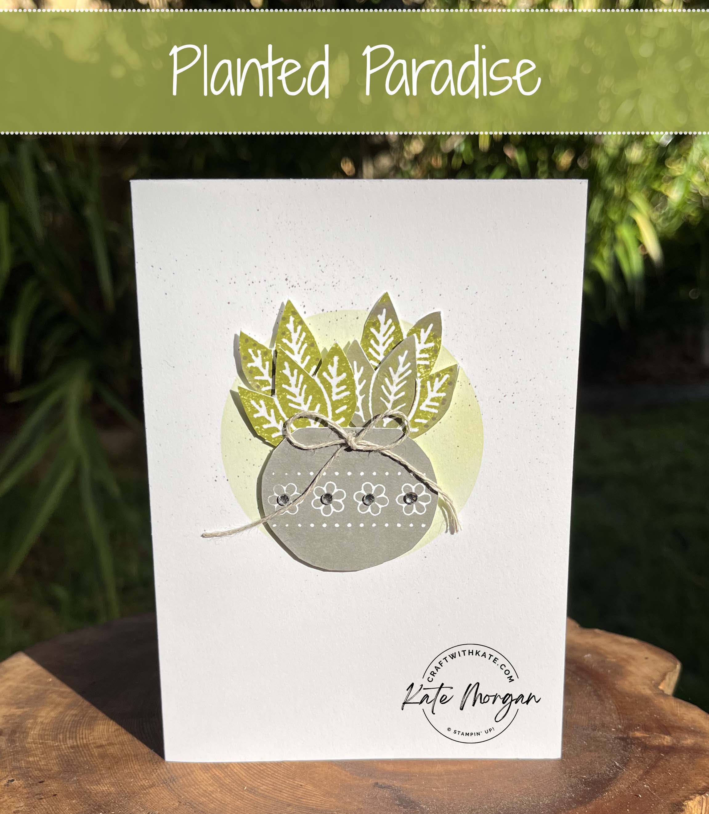 Planted Paradise Rock n Roll Technique card for Old Olive Colour Creations Blog Hop by Kate Morgan, Stampin Up Australia 2024.
