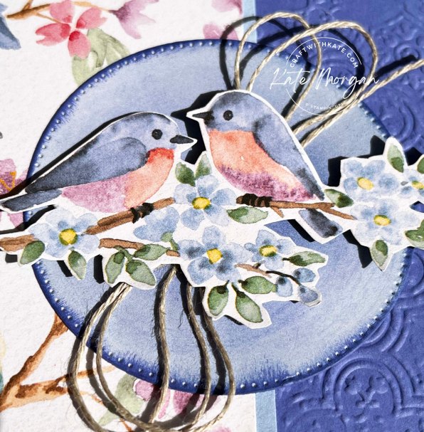 Flight &amp; Airy DSP card Saleabration 2024 Free product by Kate Morgan, Stampin Up Australia 2024.