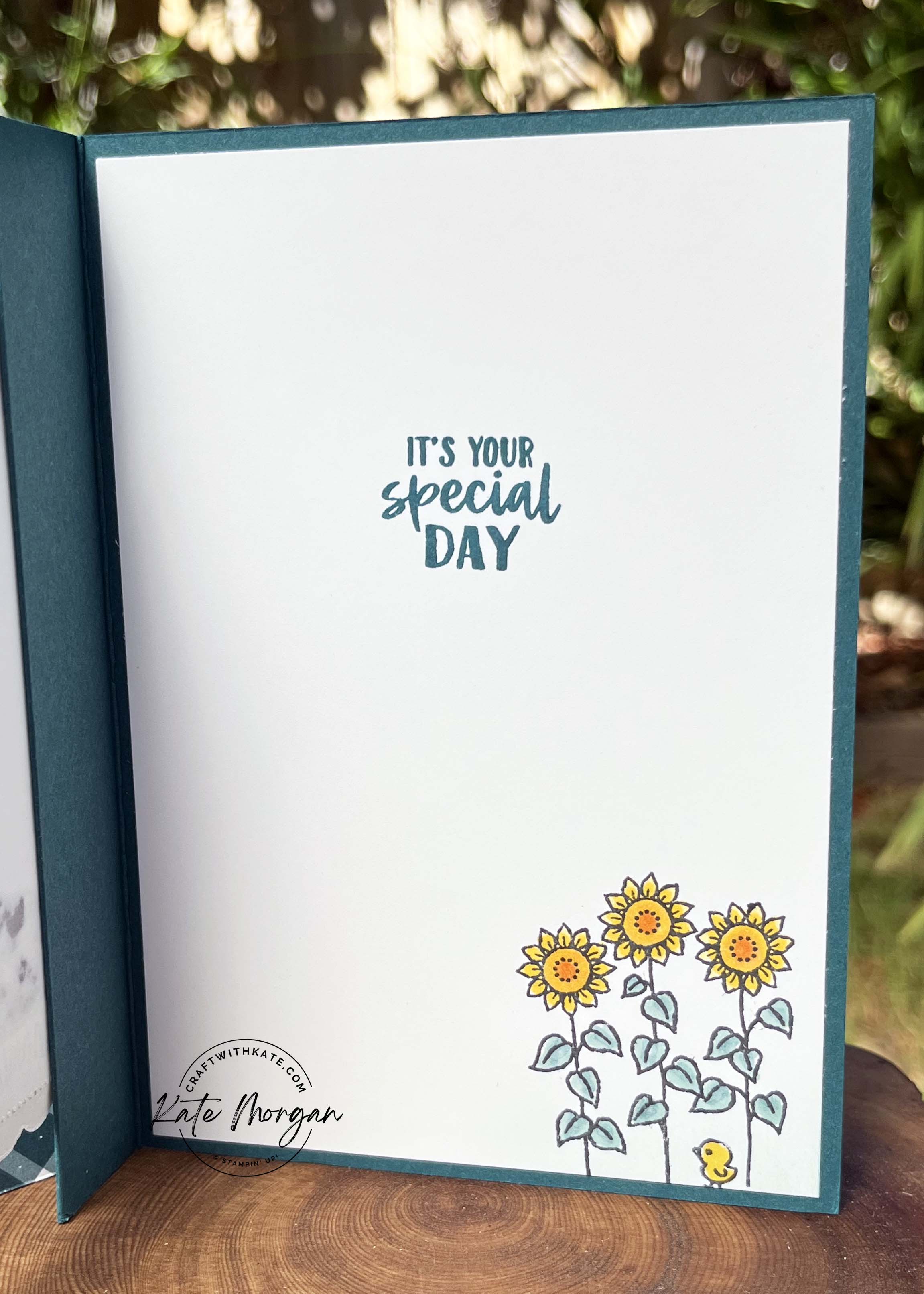 Cutest Cows card Pretty Peacock Colour Creations Blog Hop by Kate Morgan Stampin Up Australia 2024 inside 2