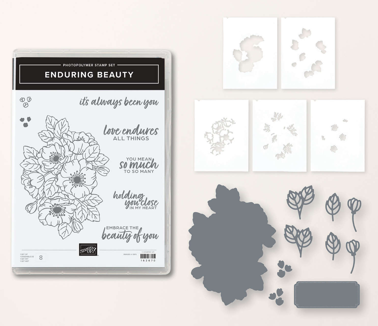 Enduring Beauty Bundle162674