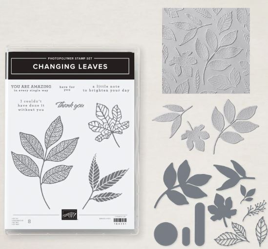Changing Leaves Bundle 164139
