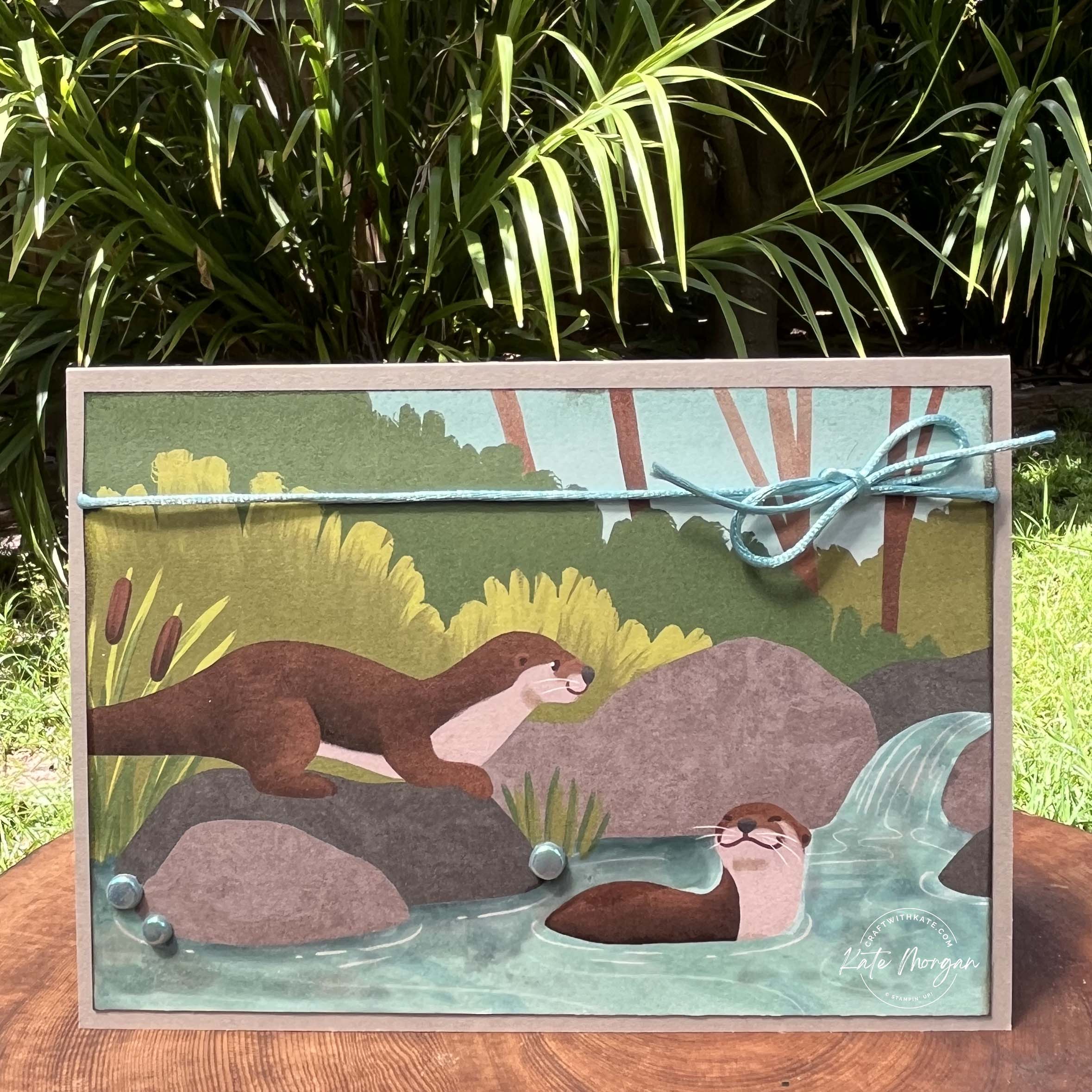 Otterly Amazing single layer card for Gray Granite Colour Creations Blog Hop by Kate Morgan Stampin Up Australia 2024